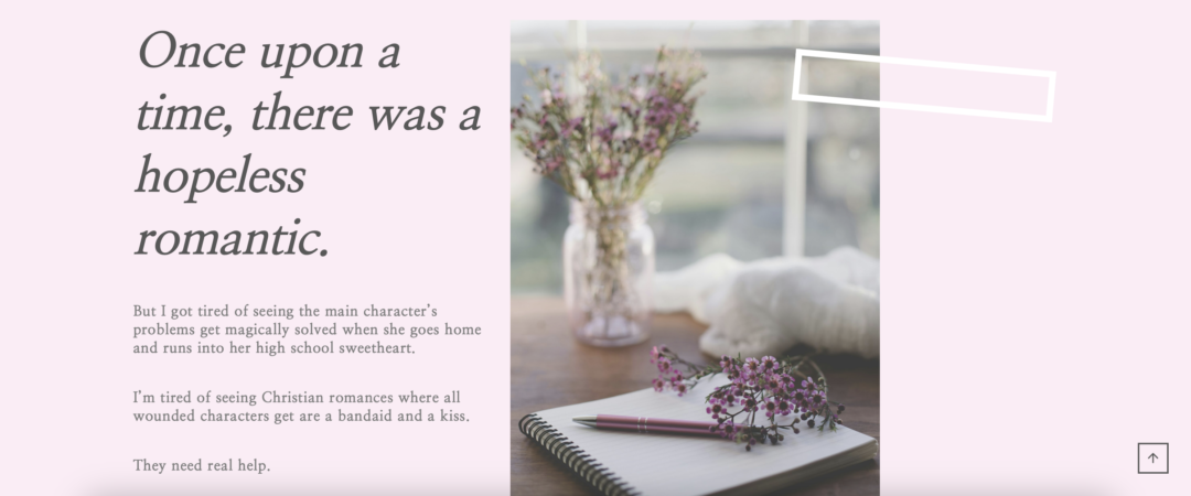 Savanna Ammons Author